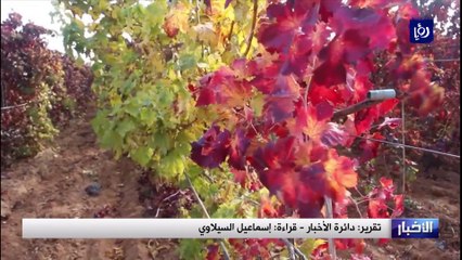 حظر التجول وتداعيات كورونا.. تحديات تواجه القطاع الزراعي