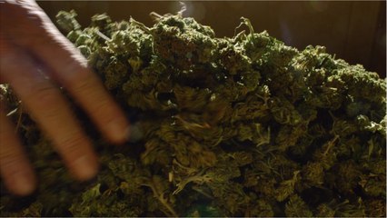 US House Votes To Decriminalize Pot