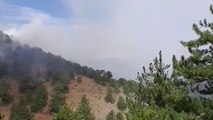 Ora News - Zjarri përfshin masivin pyjor në fshatrat e Korçës