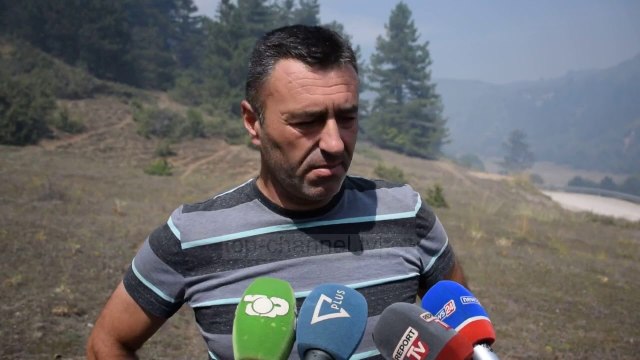 Digjen pyjet në Korçë/ Zjarri ka dëmtuar shumë hektarë në zonën e Vithkuqit