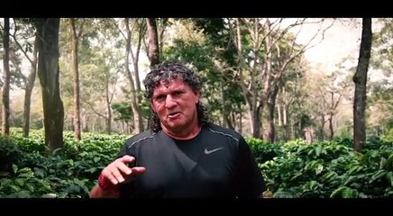 Mauricio "Chunche" Montero invita a ticos a la recolección de café