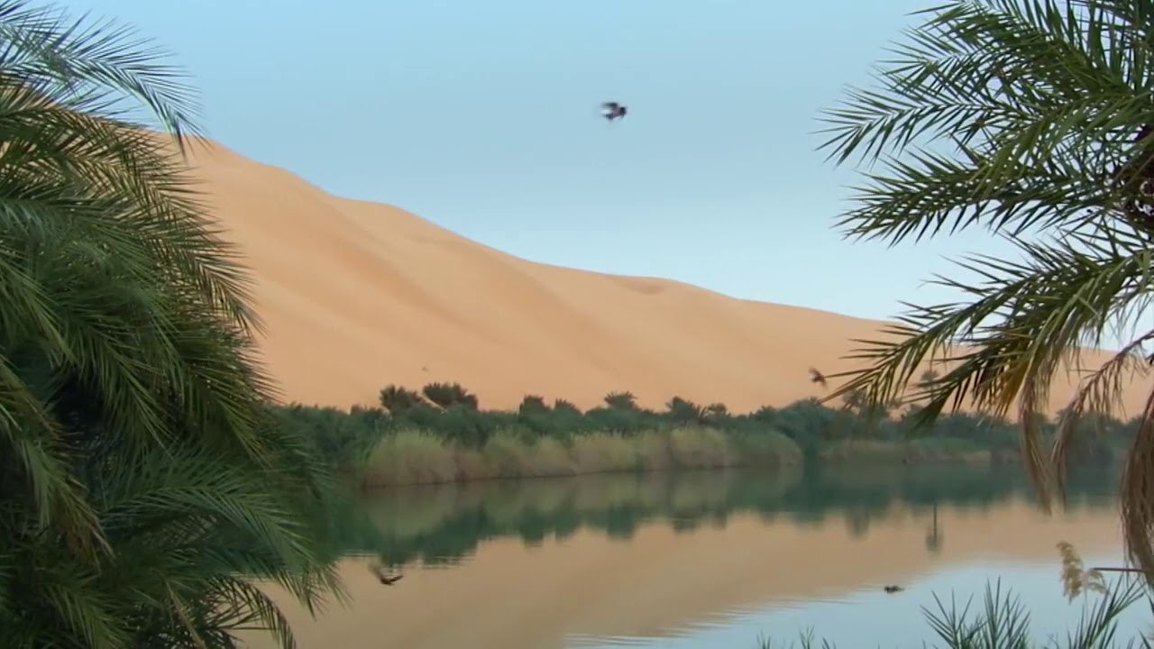 “Saharaja, dikur toke e bekuar”