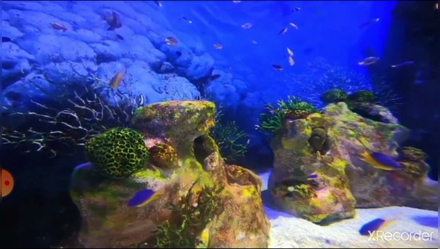 مقطع رائع جدا تلاوة ايات القرآن بصوت رهيب