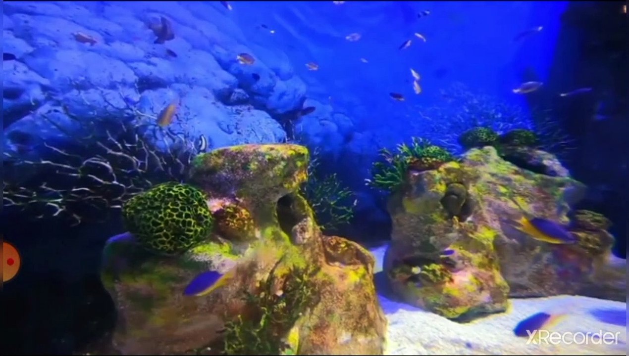 مقطع رائع جدا تلاوة ايات  القرآن بصوت رهيب