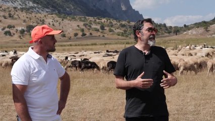 Subvencionet për blegtorinë, Çuçi në Çajup: Përfituan rreth 5 mijë fermerë