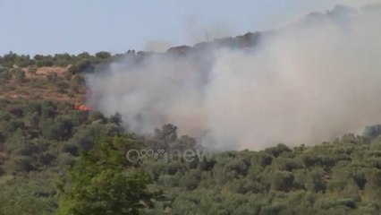 Скачать видео: Ora News - Zjarri djeg 10 hektarë ullishte e vreshta në Lushnje