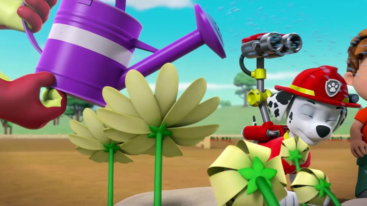 paw-patrol-rescue-episode-pups-get-growing-video-dailymotion