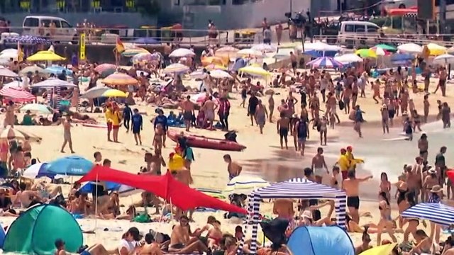Bondi Lifeguard provides water safety tips