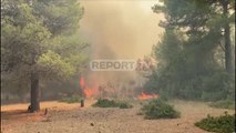 Report TV -Përfshihet nga flakët dhe një sipërfaqe me pyje në Nosovelë, dyshohen të qëllimshme