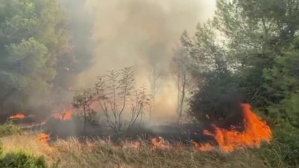 Ora News - Zjarri përfshin pyllin në Vlorë, zjarrëfikës dhe banorë në angazhim për të shuar flakët