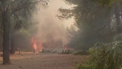 Shtatori “sfidon” Vlorën me 20 zjarre në katër ditë, Prefekti kritikon bashkinë për zjarrfikësit