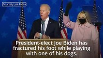 Joe Biden suffers hairline fractures in foot after slipping while playing with his dog