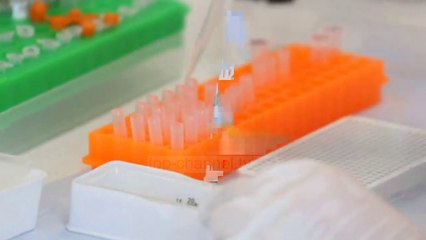 Top News - Pezullohet përkohësisht një nga studimet për zhvillimin e vaksinës për COVID-19