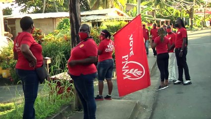 PNM VS PDP