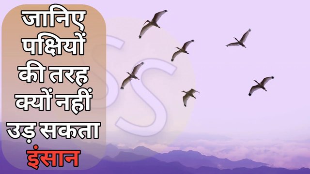 जानिए पक्षियों की तरह क्यों नहीं उड़ सकता इंसान || Know why humans cannot fly like birds | Insan kyon nahin uth Sakta | pakshi kaise udate he | pakshi ke udane ke piche kya science hai| Insan pakshi ki tarah ud kyu nhi sakta | Sumit Saini IQ | Sumit Sain