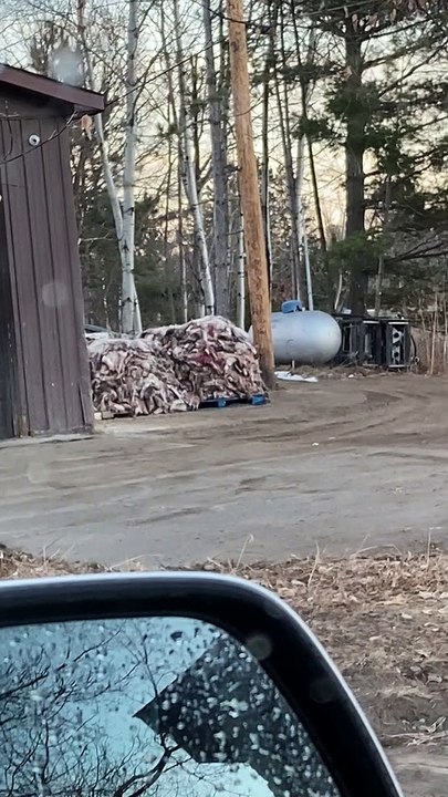 How You'll Know it's Hunting Season in Minnesota