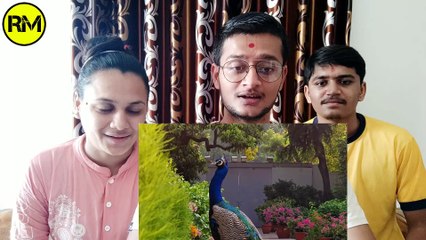 Reaction Makers | Precious moments - PM Modi feeding peacocks at his residence | Reaction Video