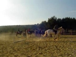 clementine au saut pour son galop 3