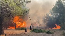 Ora News - Zjarret e shtatorit nuk ndalen, flakët depërtojnë brenda burgut të Fushë Krujës