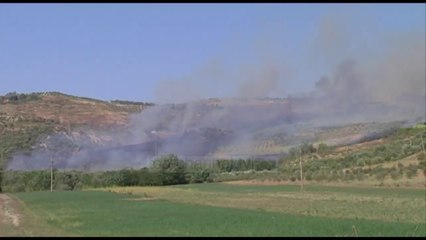 Zjarr në kodrat me ullinj/ Lushnjë, flakët nuk shuhen me mjete rrethanore: Pa koment