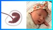 Cetak Rekor! Bayi Perempuan Ini Lahir dari Embrio Berusia 27 Tahun - TomoNews
