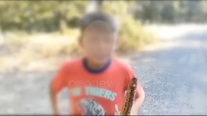 PD denoncon: Fëmijët në Mat shesin misra për të blerë libra për shkollën, qeveria s'bën asgjë