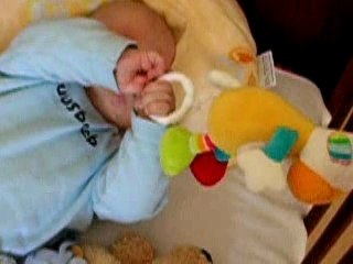 Meile zaislams ir muzikai