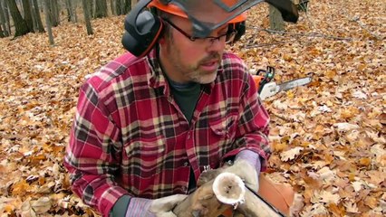 American Woodslayer Episode 3 - New Sharpening tool