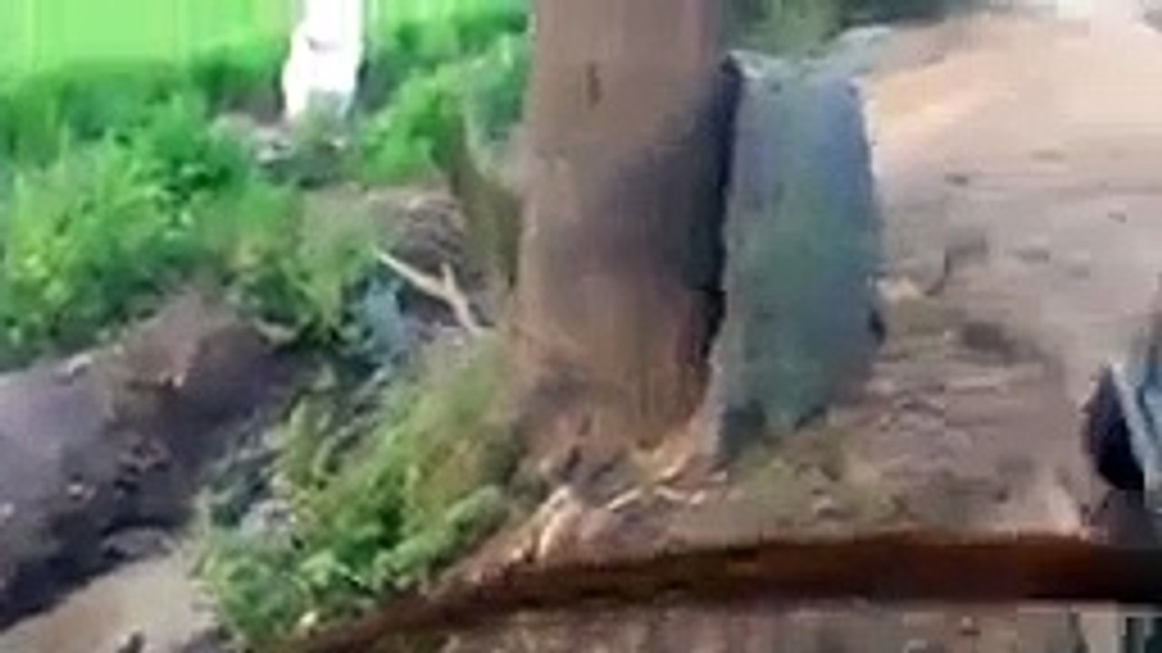 جدید فارمنگ