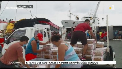 des litchis par milliers