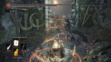 Crystal Sage NG+40 Lothric Knight Sword
