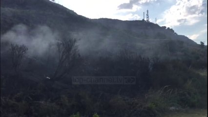 Zjarr në Kallm të Durrësit, shkrumbohen pisha e pemë të tjera