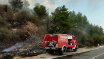 Ora News - Zjarri përfshin masivin pyjor në Manat të Lezhës