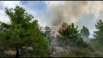 Report TV -Lezhë, zjarri përfshin masivin pyjor në fshatin Manati