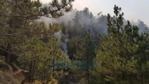 Zjarret përpijnë masivet pyjore në Lezhë, Klos dhe Durrës - News, Lajme - Vizion Plus