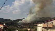 Ora News - Zjarri përfshin zonën e Ndroqit në Tiranë, digjen ullinjtë shekullorë