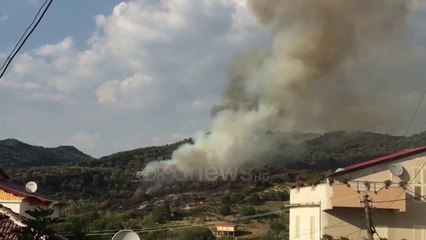 Ora News - Zjarri përfshin zonën e Ndroqit në Tiranë, digjen ullinjtë shekullorë