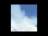 Zjarr në Tepelenë, digjen pyje e kullota, flakët rrezikojnë banesat,asnjë zjarrfikëse në vendngjarje