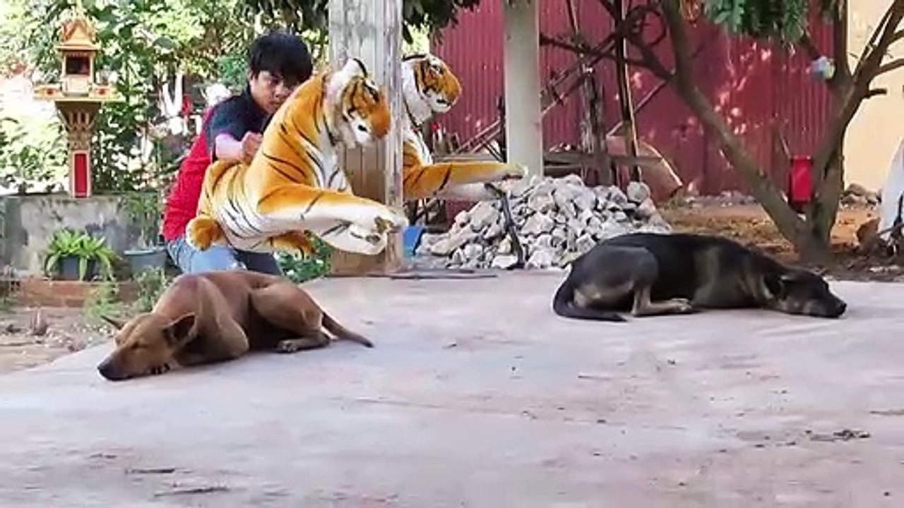 Dog Prank 5