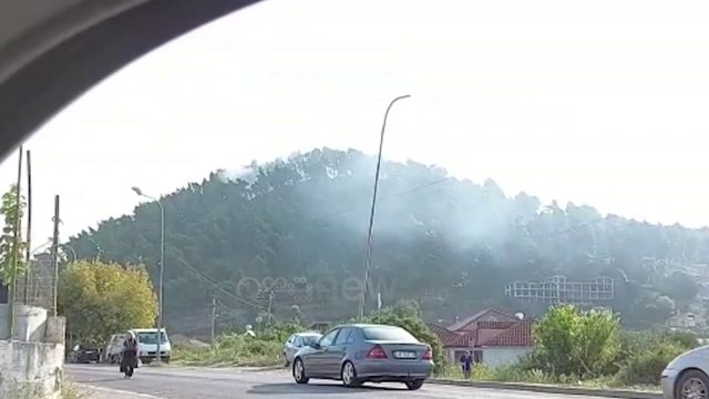 Ora News - Elbasan, përfshihet nga flakët një sipërfaqe pylli