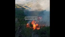 Zjarri përfshin kodrat e Mallakastrës, digjen 40 hektarë me ullishte dhe shkurre
