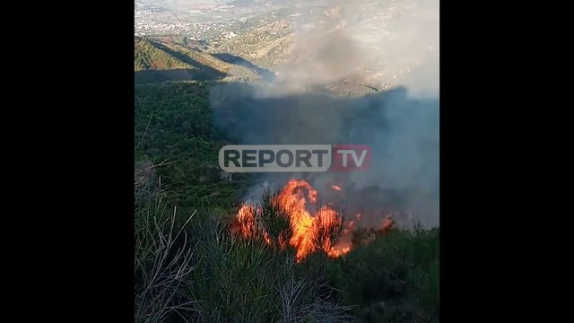Zjarri përfshin kodrat e Mallakastrës, digjen 40 hektarë me ullishte dhe shkurre