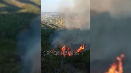 Tải video: Ora News - Vatra aktive në Fier e Mallakastër, zjarri djeg vreshtat