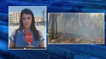 Ora News - Vatra aktive në Fier e Mallakastër, zjarri djeg vreshtat