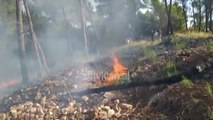 Zjarri perfshin Koder-Krasten ne Elbasan |Lajme-News