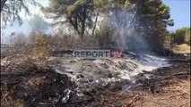 Report TV - Elbasan, riaktivizohen zjarret në kodrat e Kastrës, Elbasan