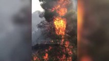 Top News - Shqipëria në ‘flakë’ / Disa vatra zjarri janë aktive