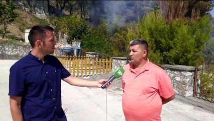 Bie zjarr në malin e Taraboshit/ Digjen 10 hektarë me pisha e shkurre