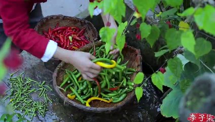 A vida da pimenta - cabeça de peixe chili picada, geléia de folha de óleo vermelha
