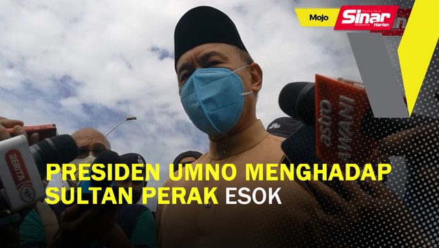 Presiden UMNO menghadap Sultan Perak esok